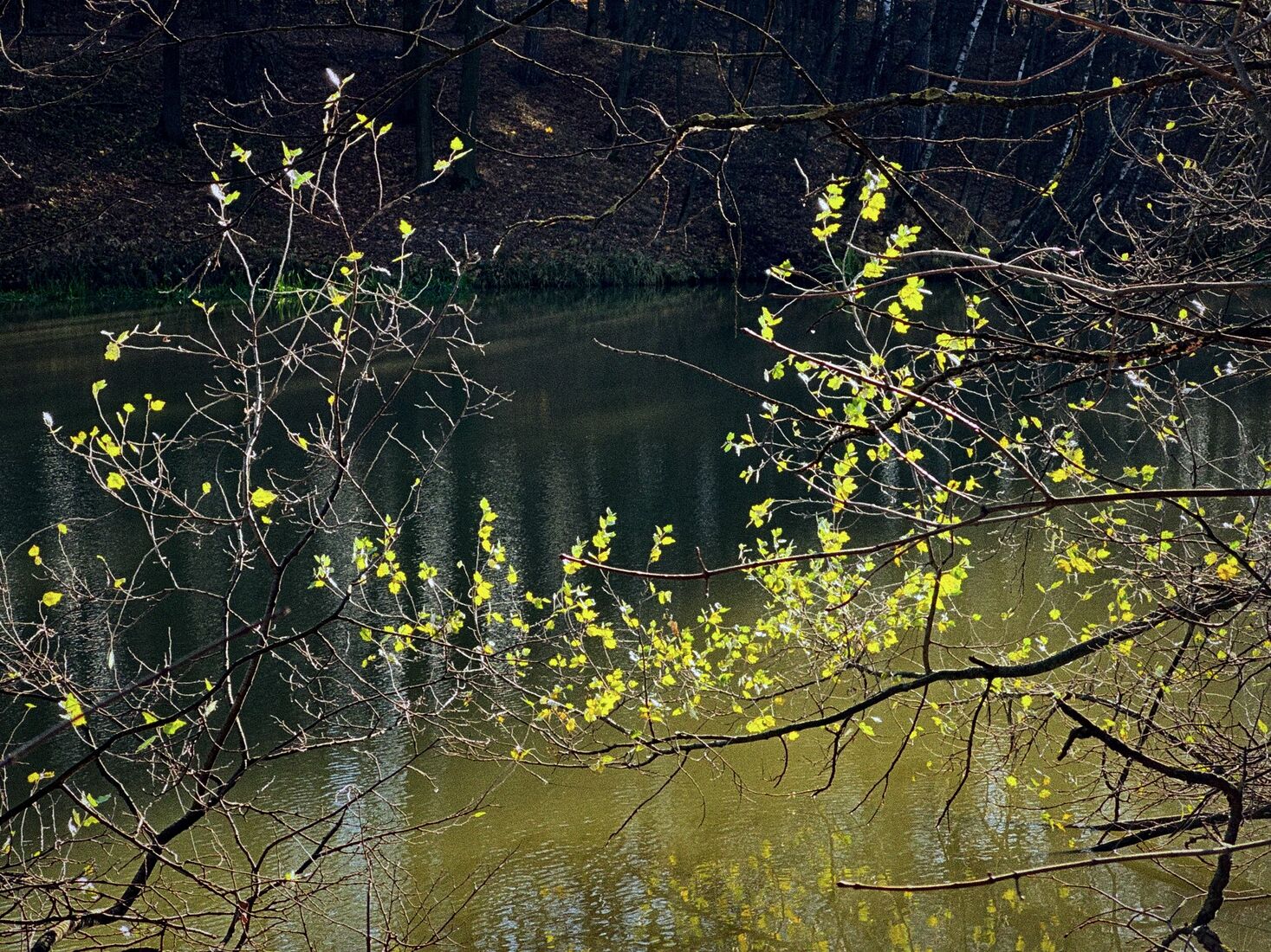 iPhone 14 Pro, Dehancer