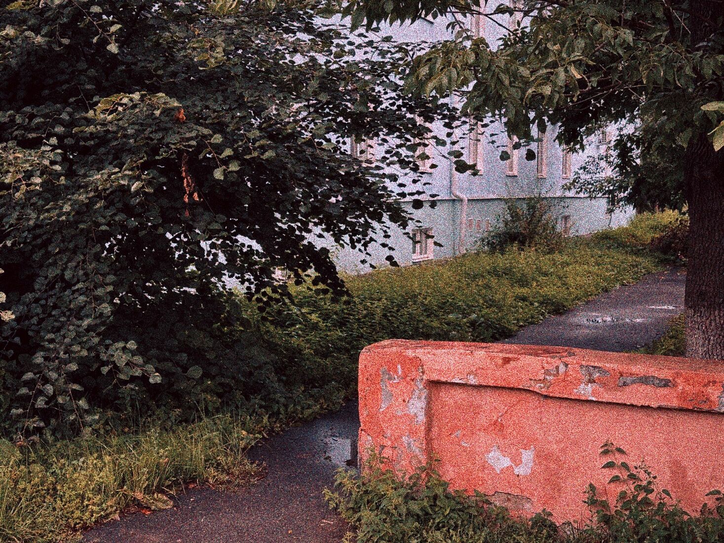 Alexei Jurchenko. Portfolio. Vladimir (2024). Vladimir, Russia, August 2024 iPhone 14 Pro, Dehancer