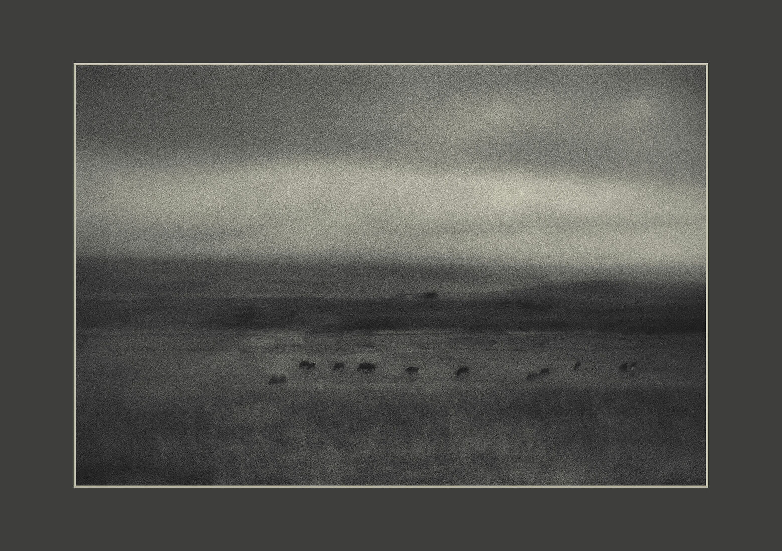 Alexei Jurchenko. Portfolio. Armenia. Untitled