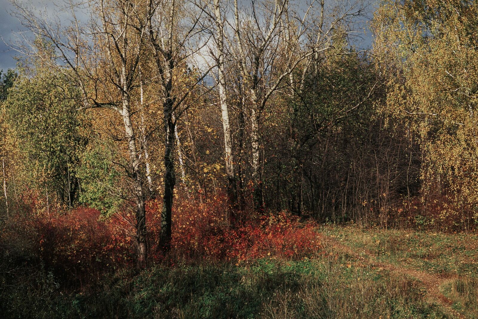 Alexei Jurchenko. Portfolio. 2012. Untitled