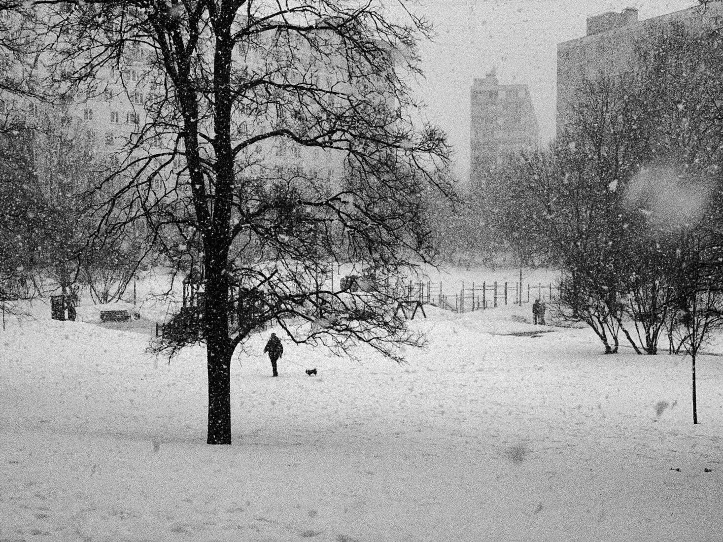 Alexei Jurchenko. Portfolio. 2021. Москва, Россия, февраль 2021 iPhone Xs, Dehancer