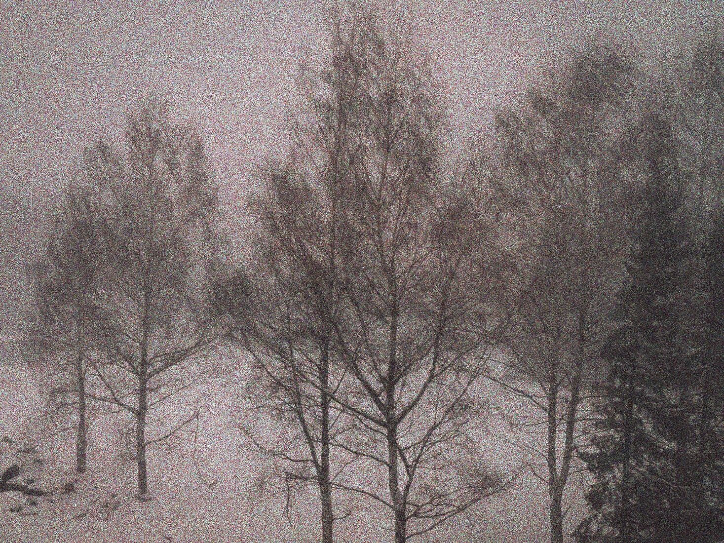 iPhone 14 Pro, Dehancer