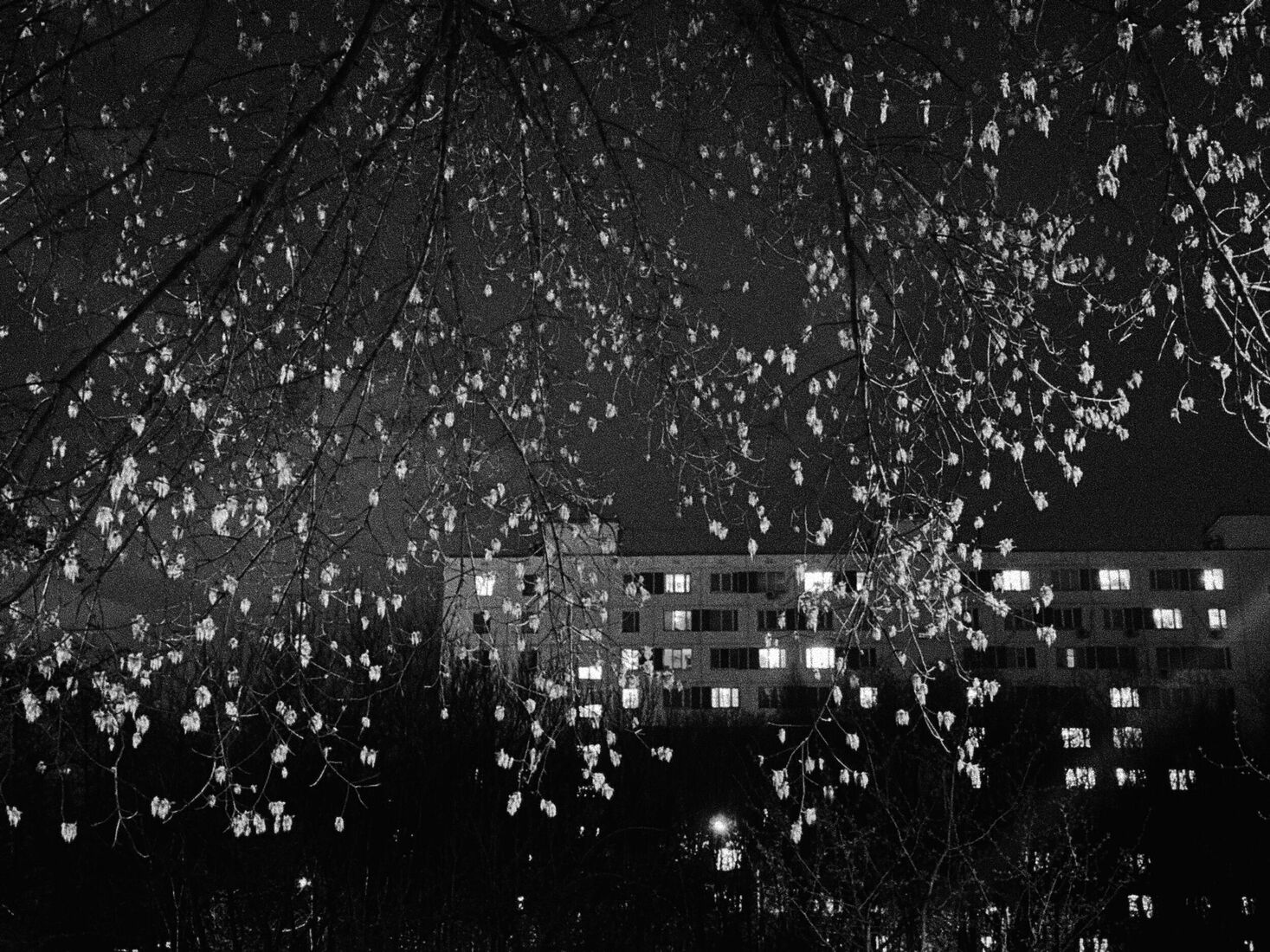 iPhone 14 Pro, Dehancer