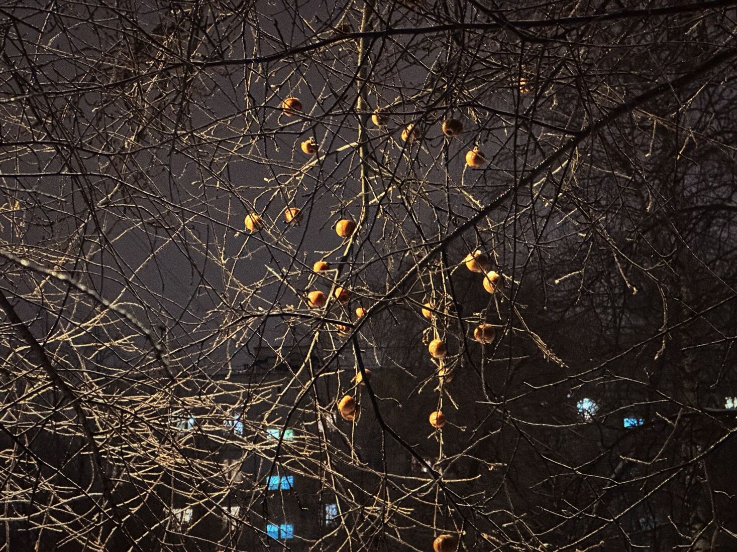 iPhone 14 Pro, Dehancer