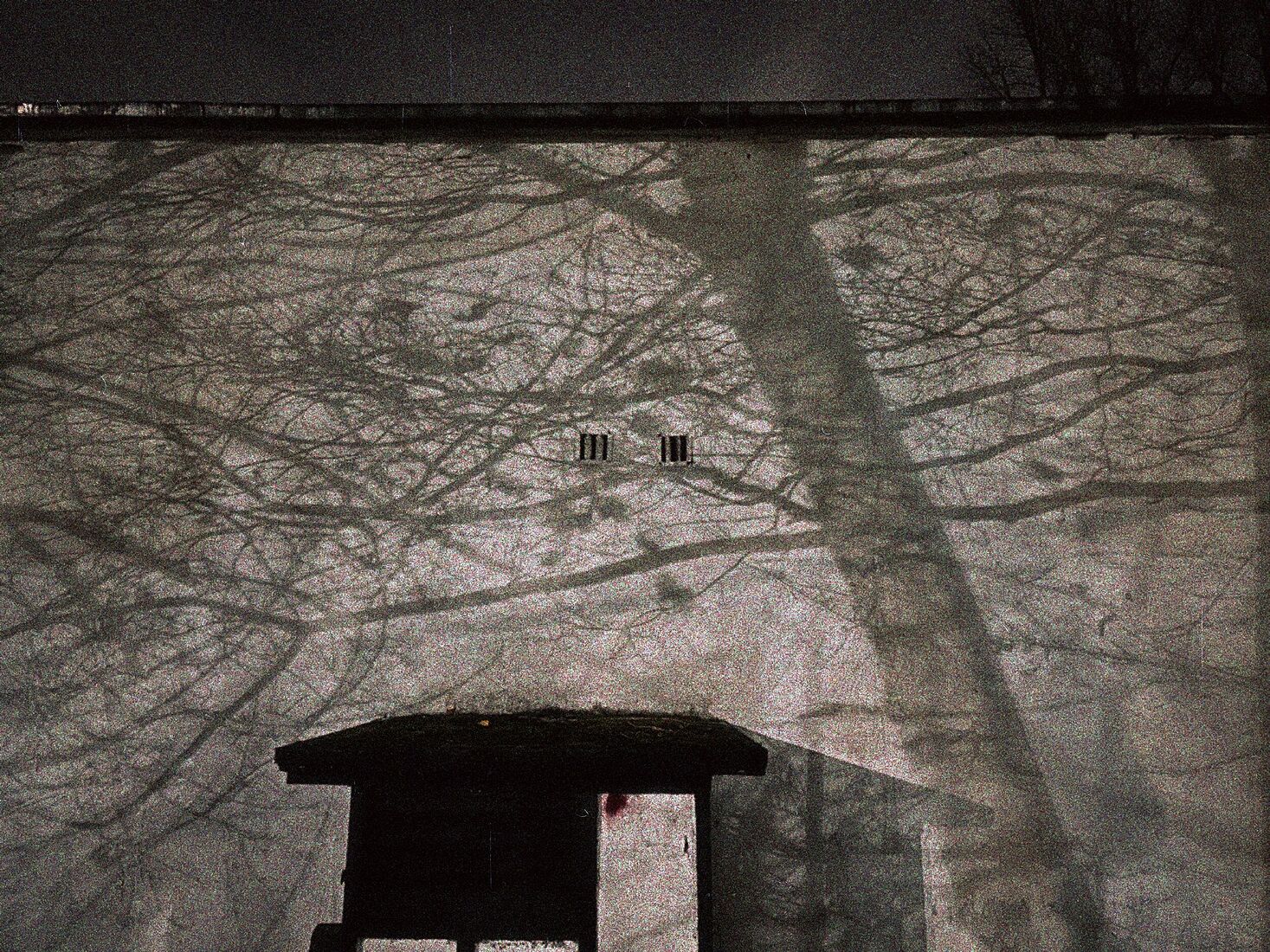 iPhone 14 Pro, Dehancer