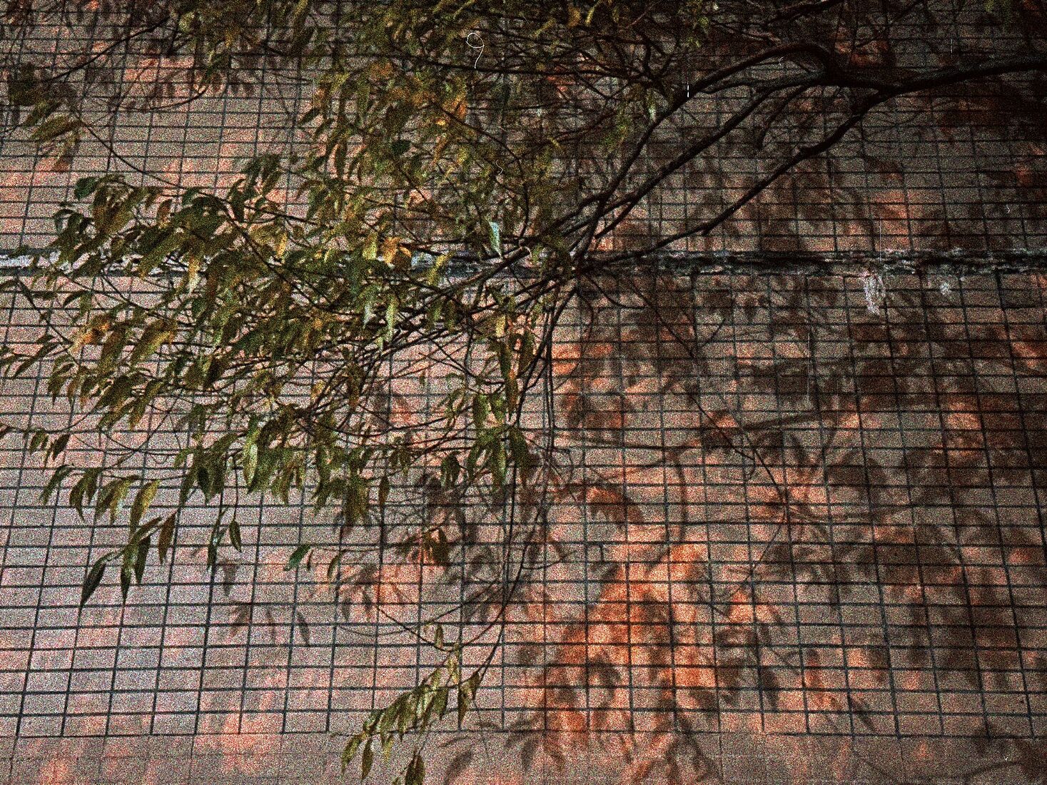 iPhone 14 Pro, Dehancer