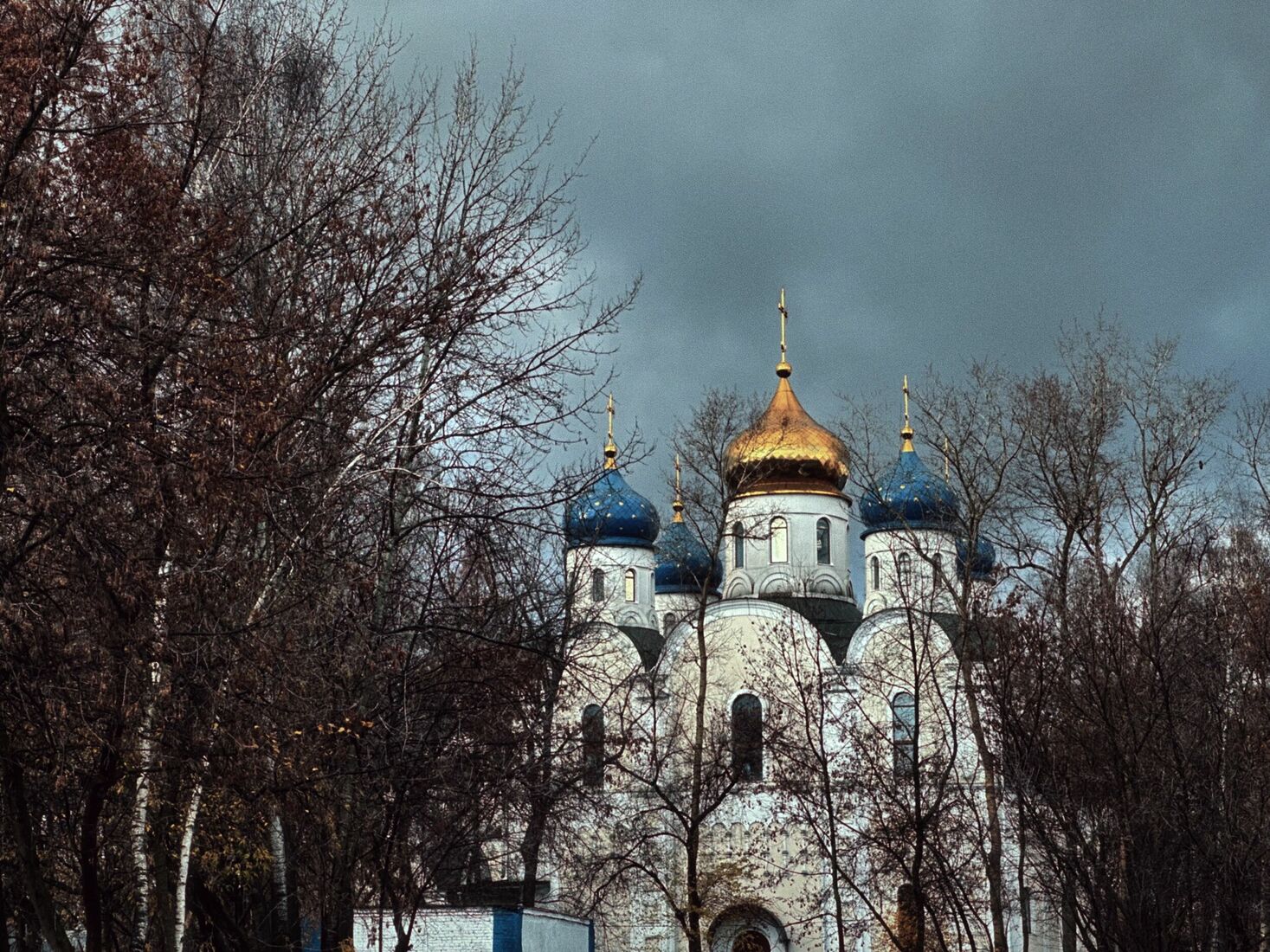 iPhone 14 Pro, Dehancer