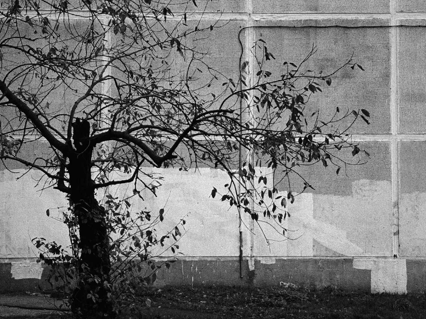 iPhone 14 Pro, Dehancer