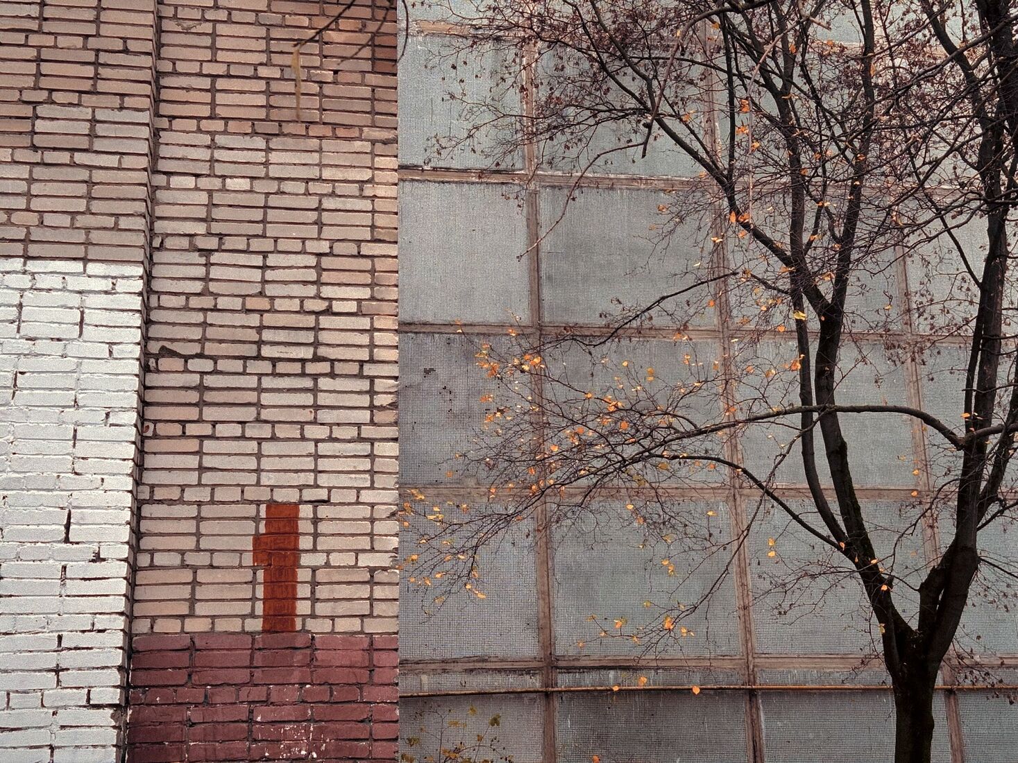 iPhone 14 Pro, Dehancer