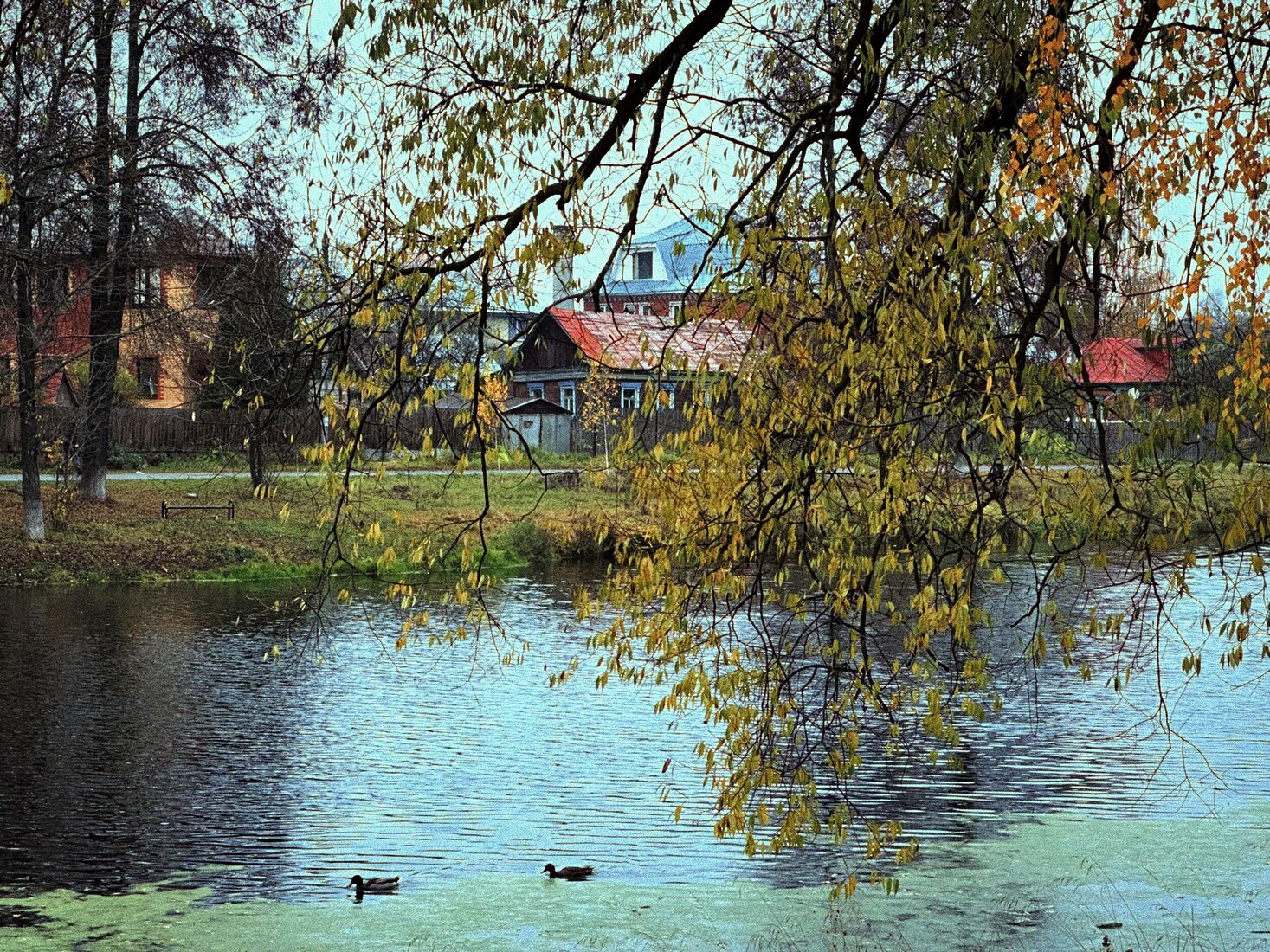 iPhone 14 Pro, Dehancer