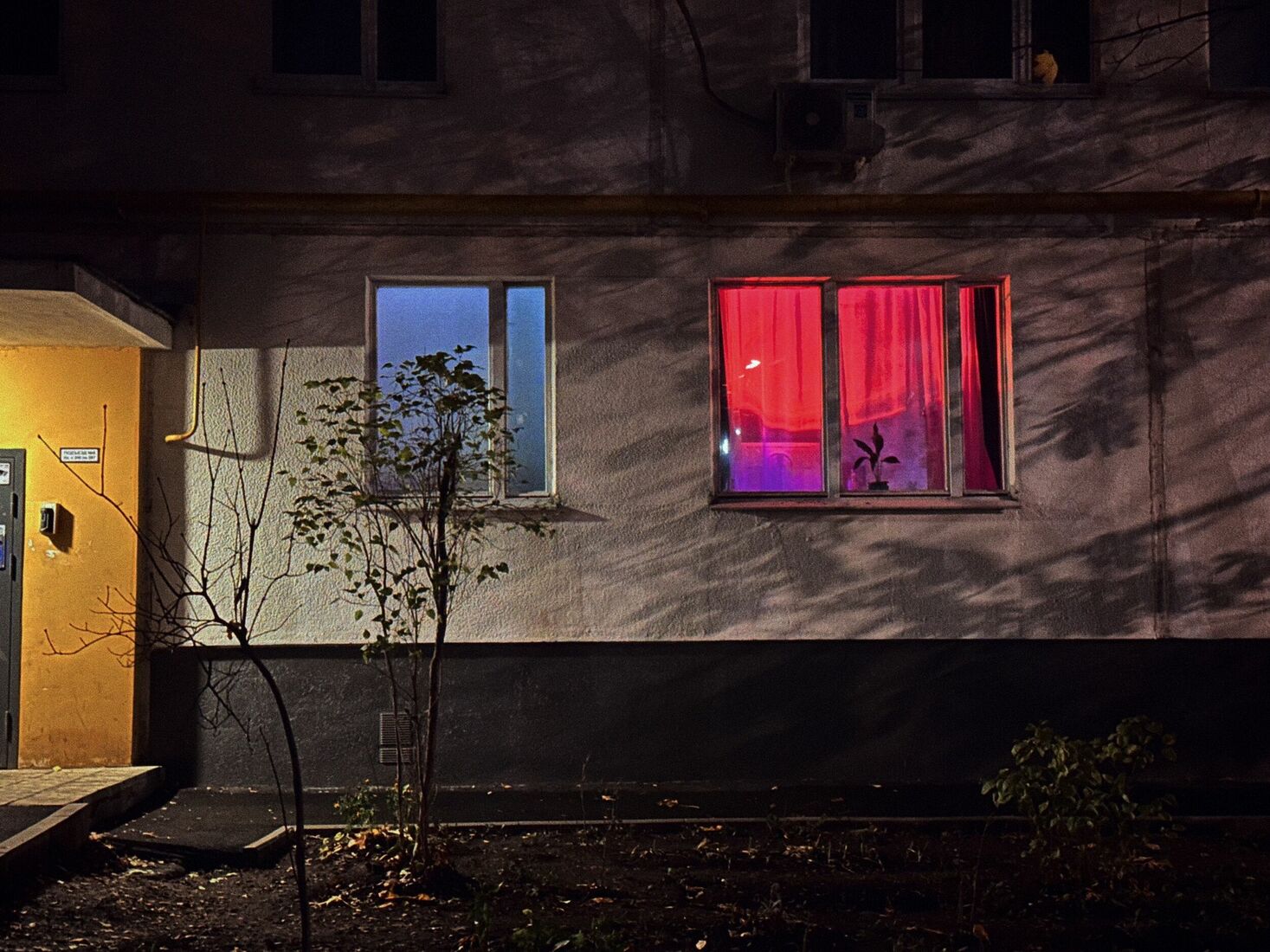 iPhone 14 Pro, Dehancer