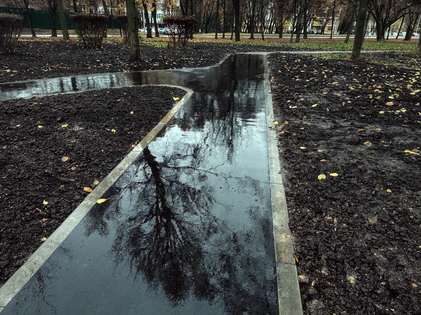 iPhone 14 Pro, Dehancer