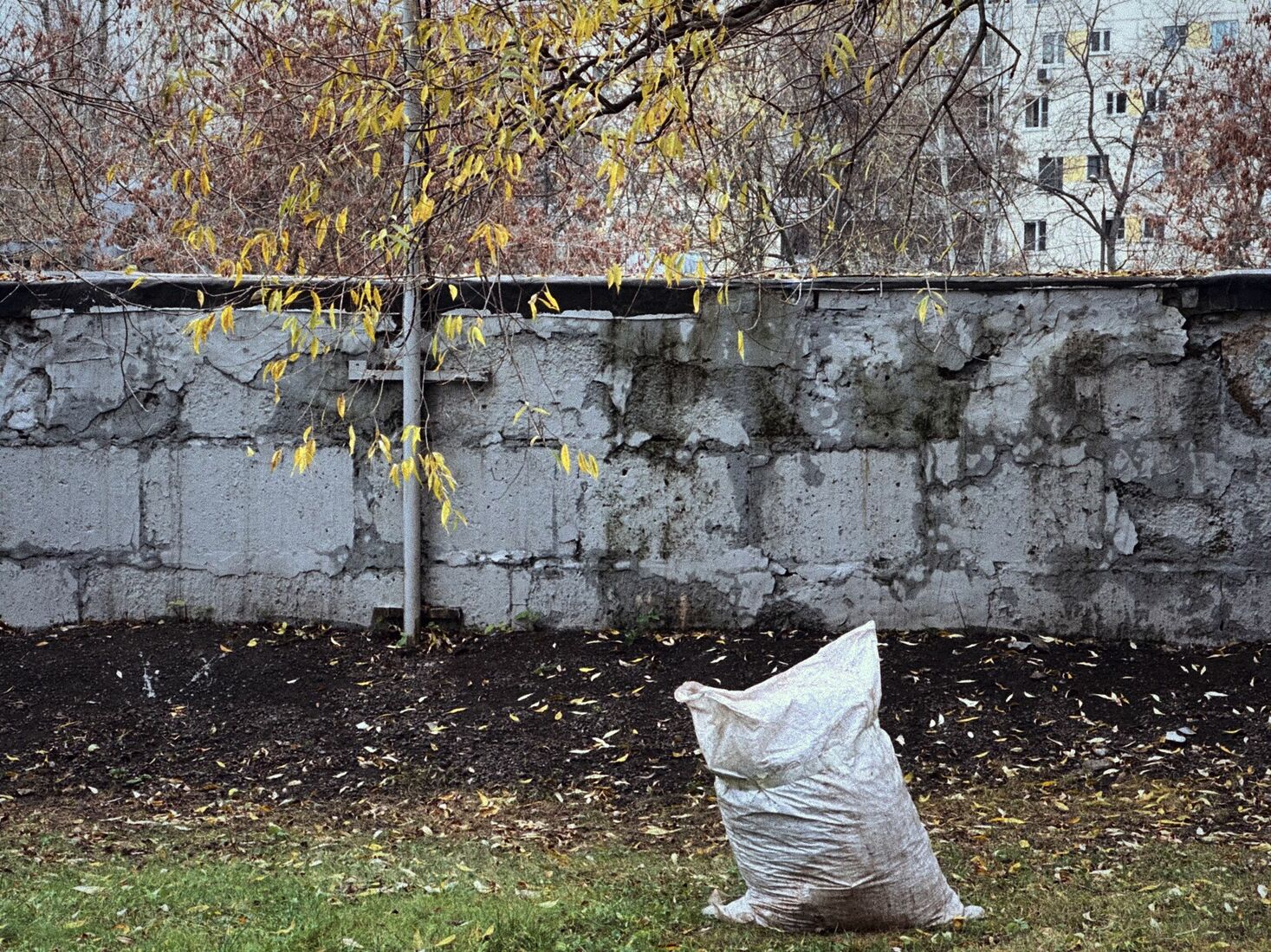 iPhone 14 Pro, Dehancer