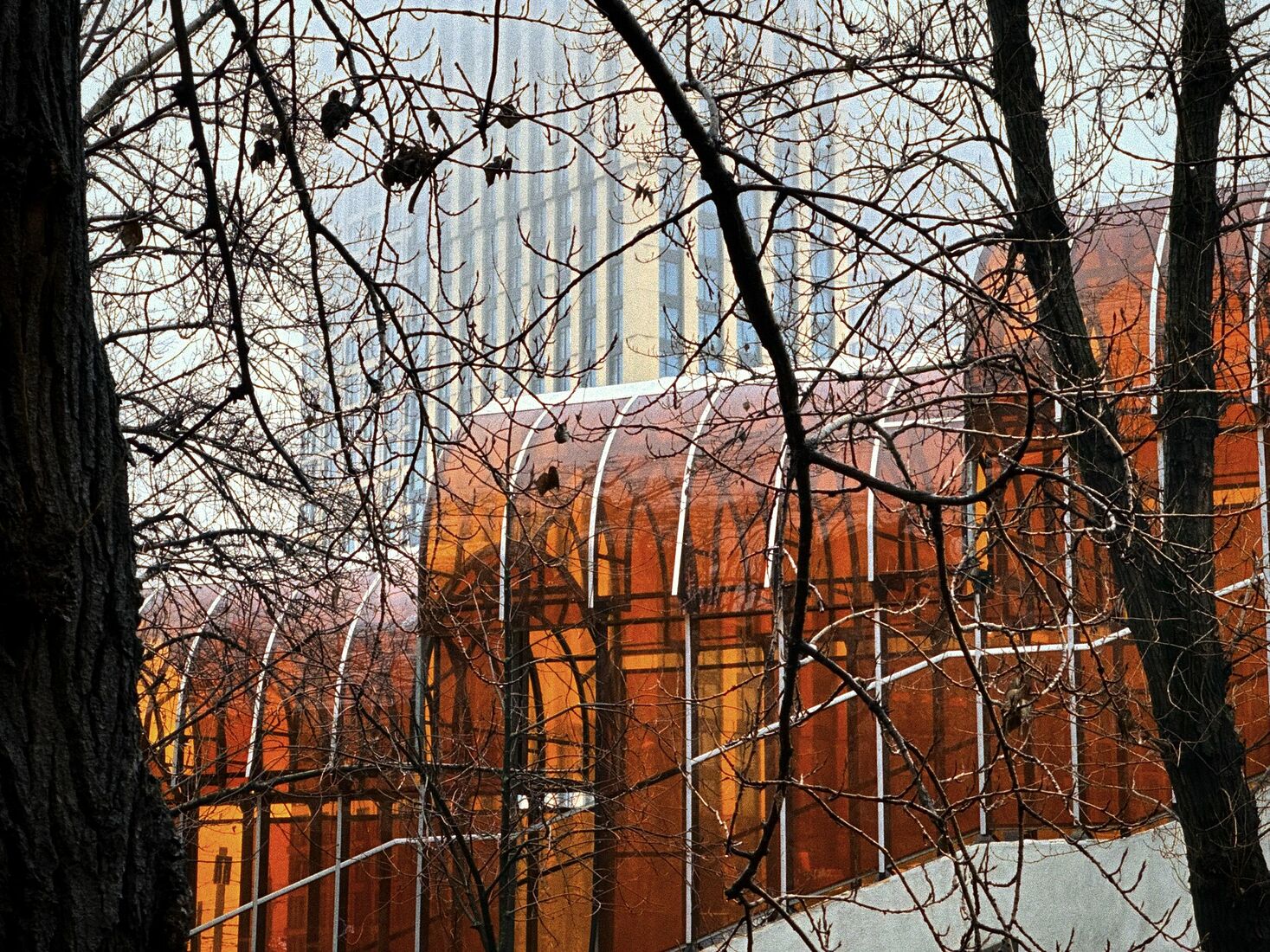 iPhone 14 Pro, Dehancer