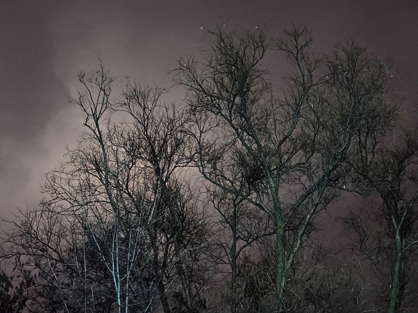 iPhone 14 Pro, Dehancer