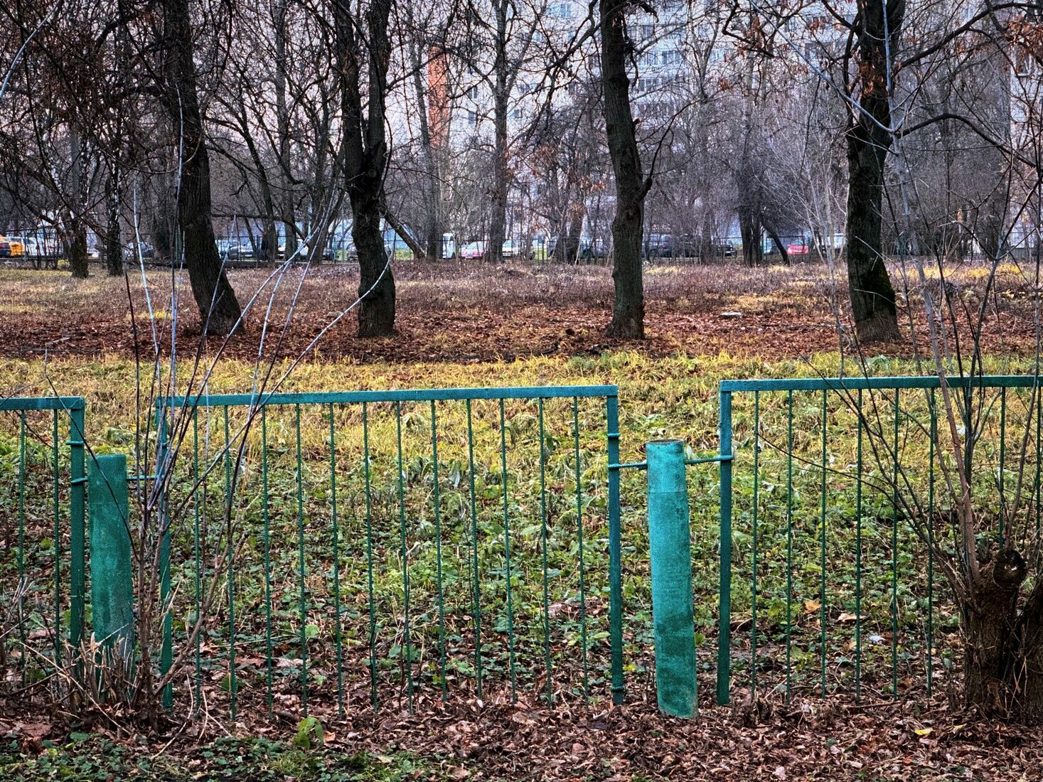 iPhone 14 Pro, Dehancer