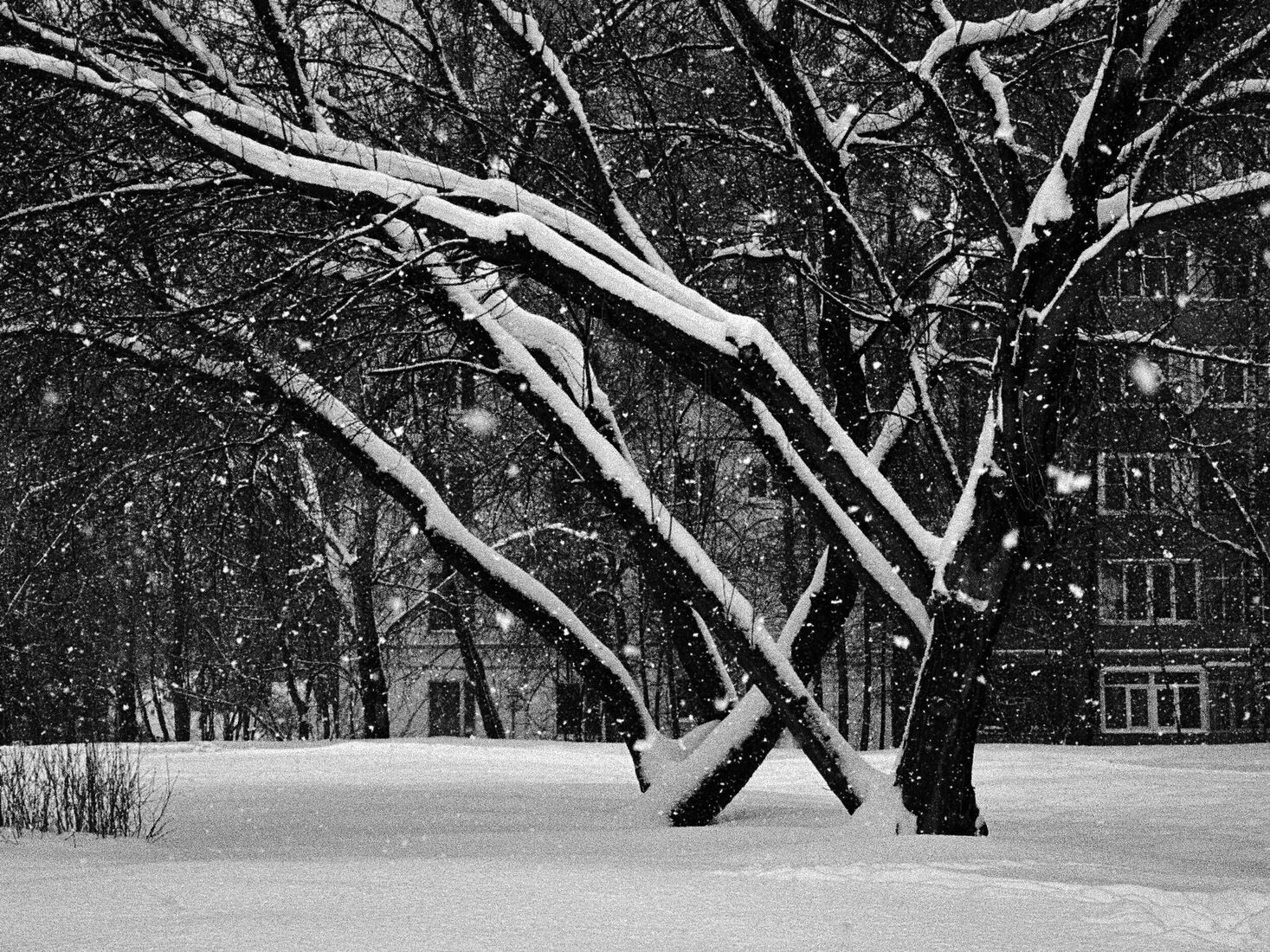 iPhone 14 Pro, Dehancer