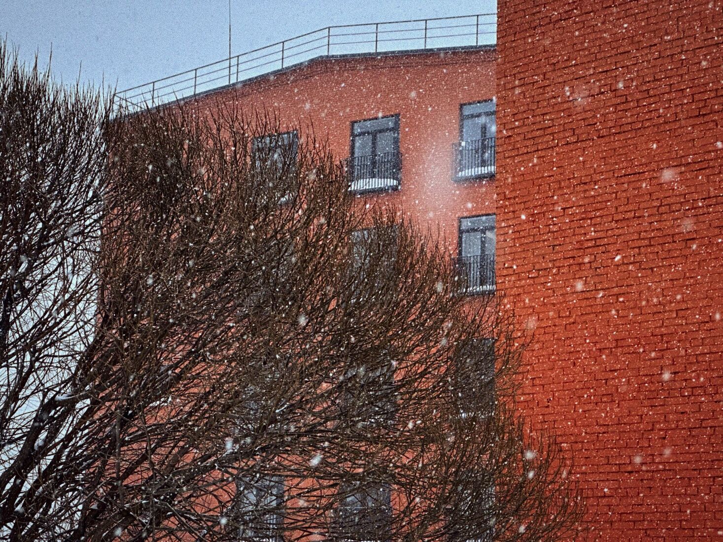 iPhone 14 Pro, Dehancer